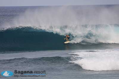 [jacking-horsefinal.jpg]