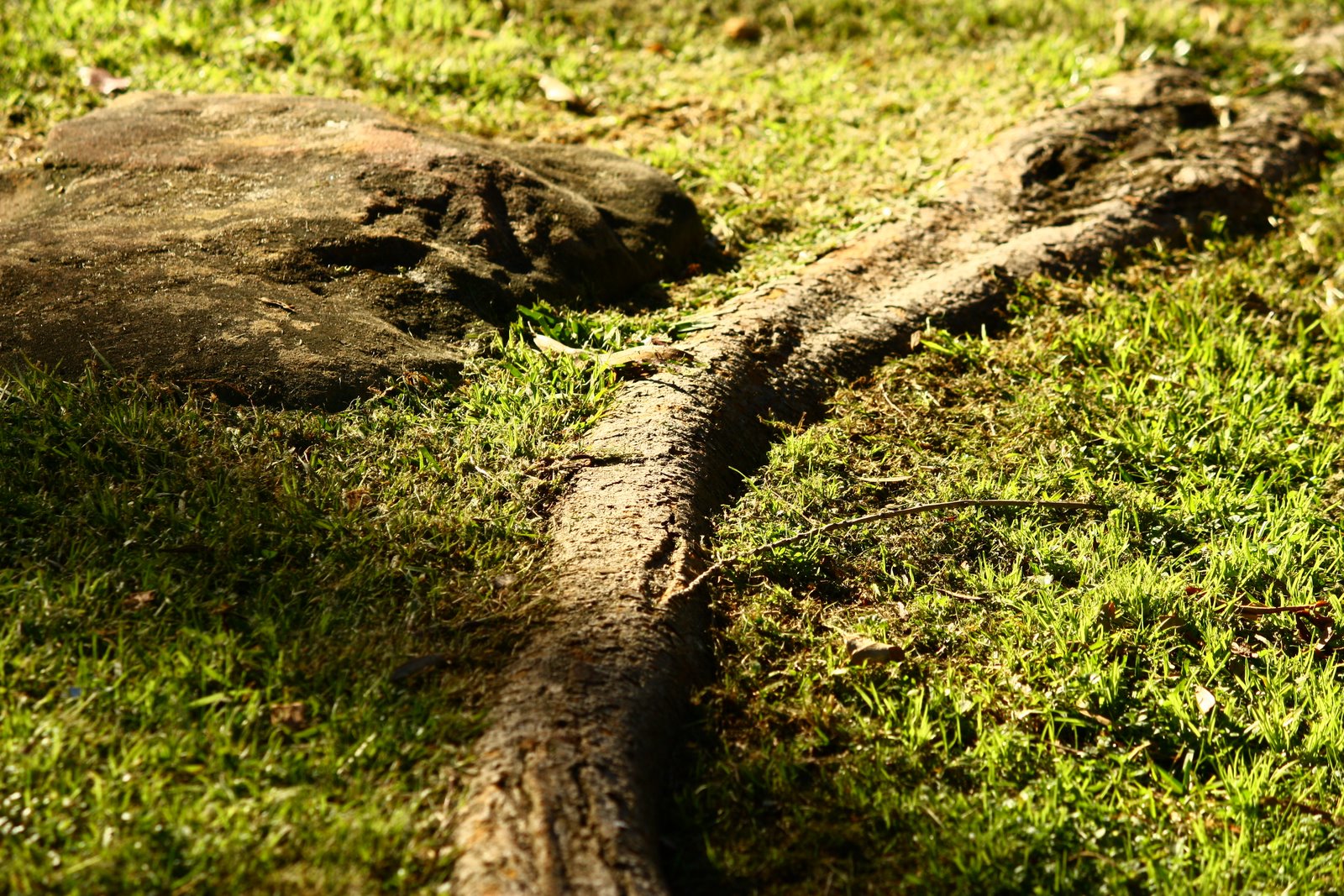 [GI+-+The+land+-+06.JPG]