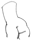 [Ingres_angles_to_curves.gif]