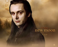 Aro Vulturi