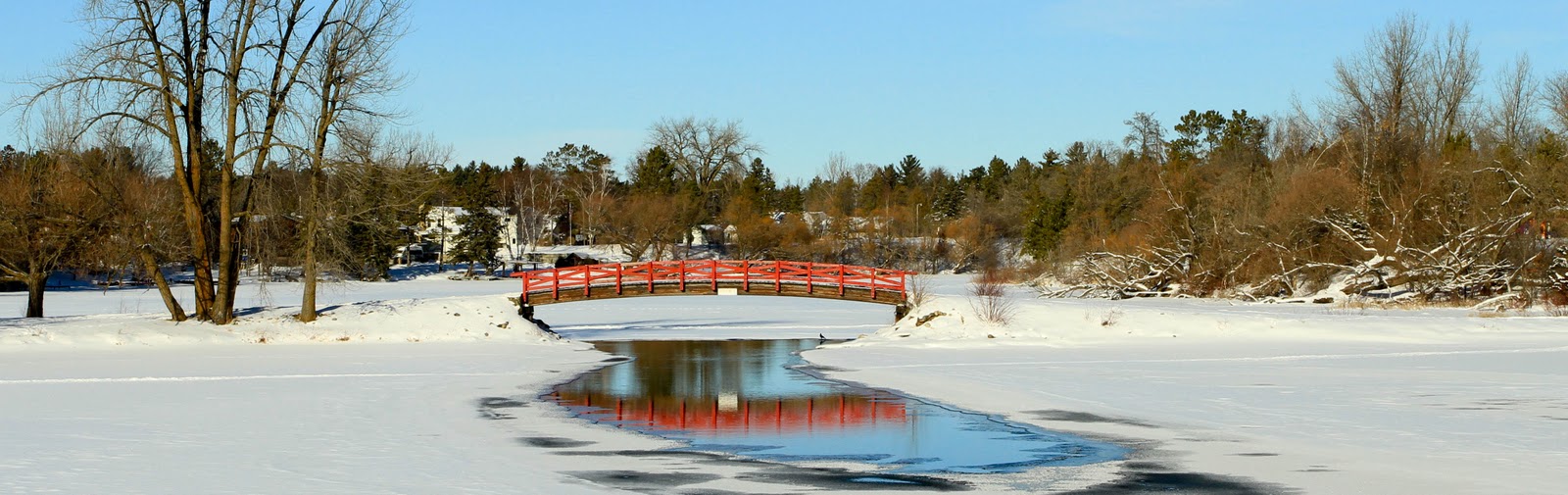 Wings & Wildflowers Red Bridge, Park Rapids, MN