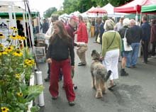 At the Farmers Market