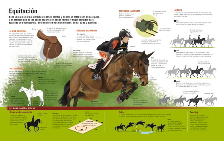Campos de Roca Deportes EQUITACIÓN