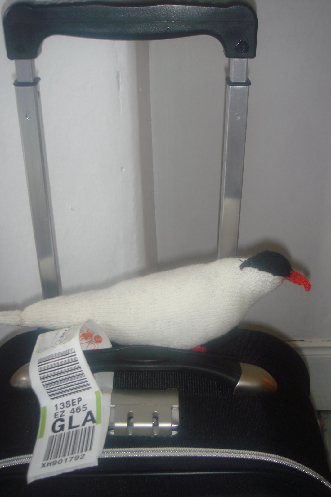 [artic+tern+suitcase.JPG]