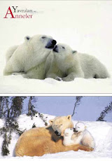 恻隐之心人皆有之