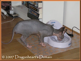 Dragonheart drinking from his fountain