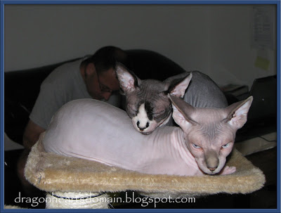 Dragonheart and Merlin Dragonheart and Merlin