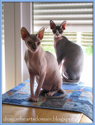 Dragonheart and Merlin Dragonheart and Merlin