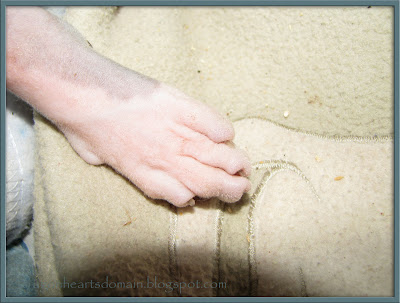 Dragonheart's Toes Dragonheart's Toes