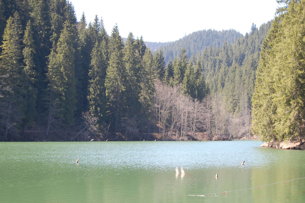 [2.+Lacul+Rosu.JPG]