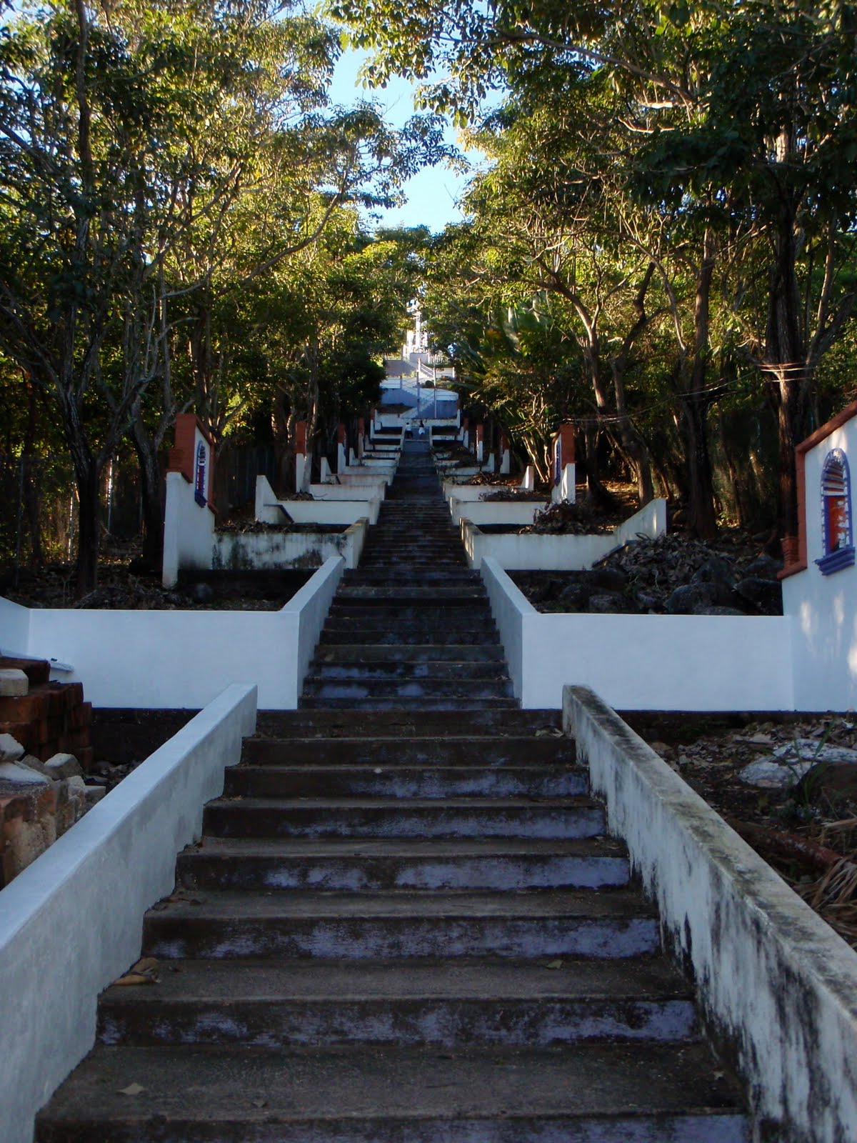 [P1183365.JPG]