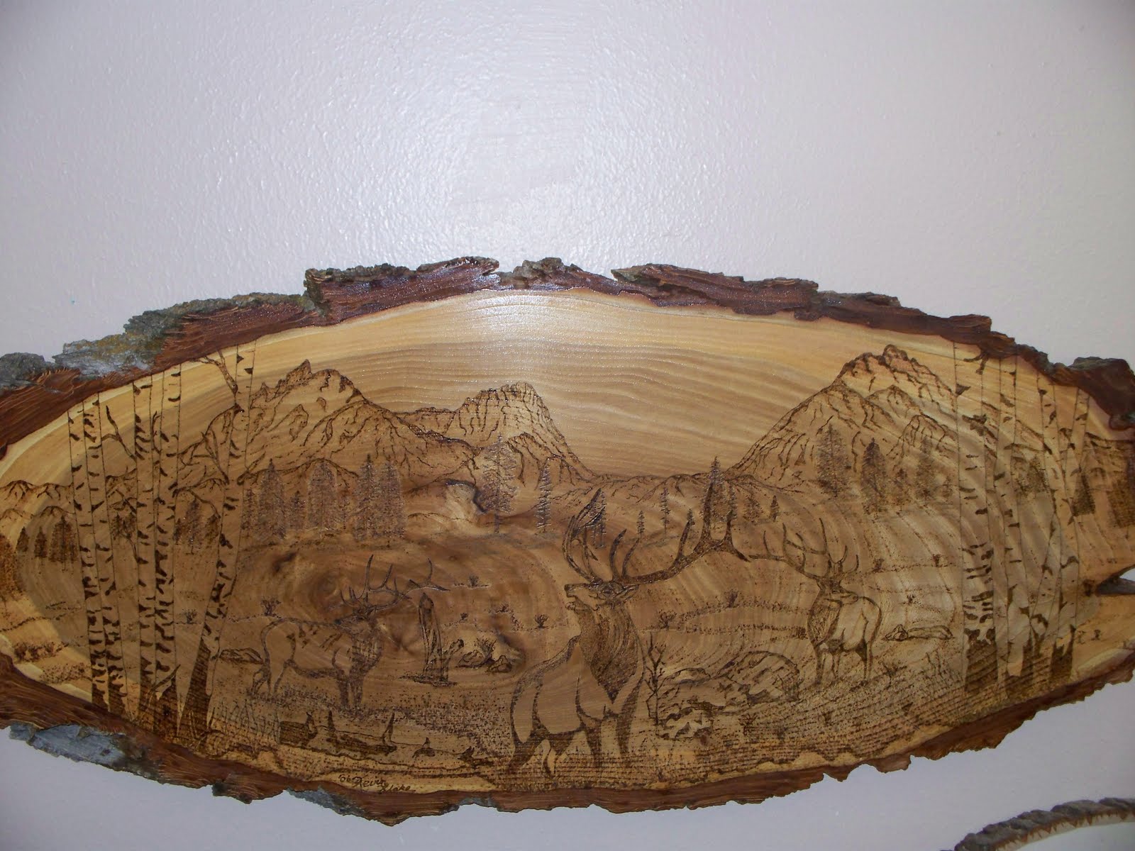 KDB's Wood Burnings: A Sample of My Work