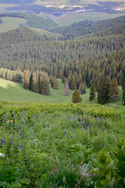 Colorado Lifestyle Mt. Thomas