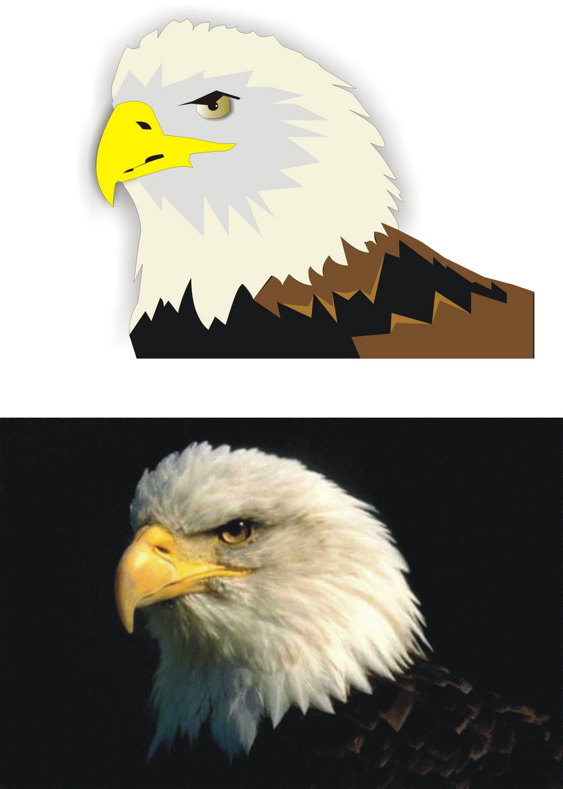 Fedee TP Nº 6 Aguila