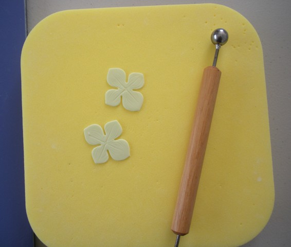 [Cut+flowers+on+pad.JPG]