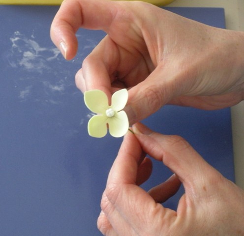 [Center+completely+in+flower.JPG]