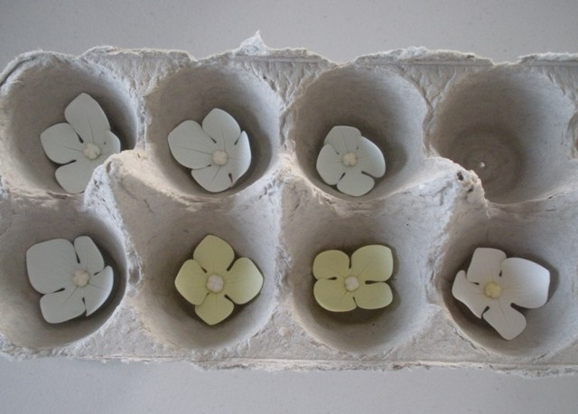 [Hydrangea+in+egg+carton.JPG]