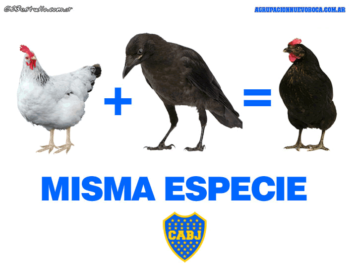 [Afiche.gif]