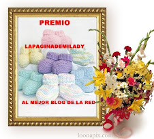 PREMIO LAPAGINADEMILADY