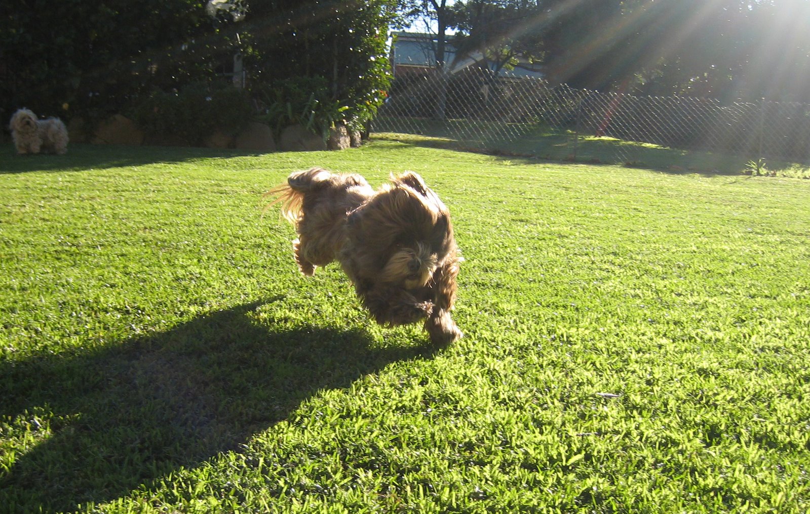 [kahlua+motion+2.jpg]