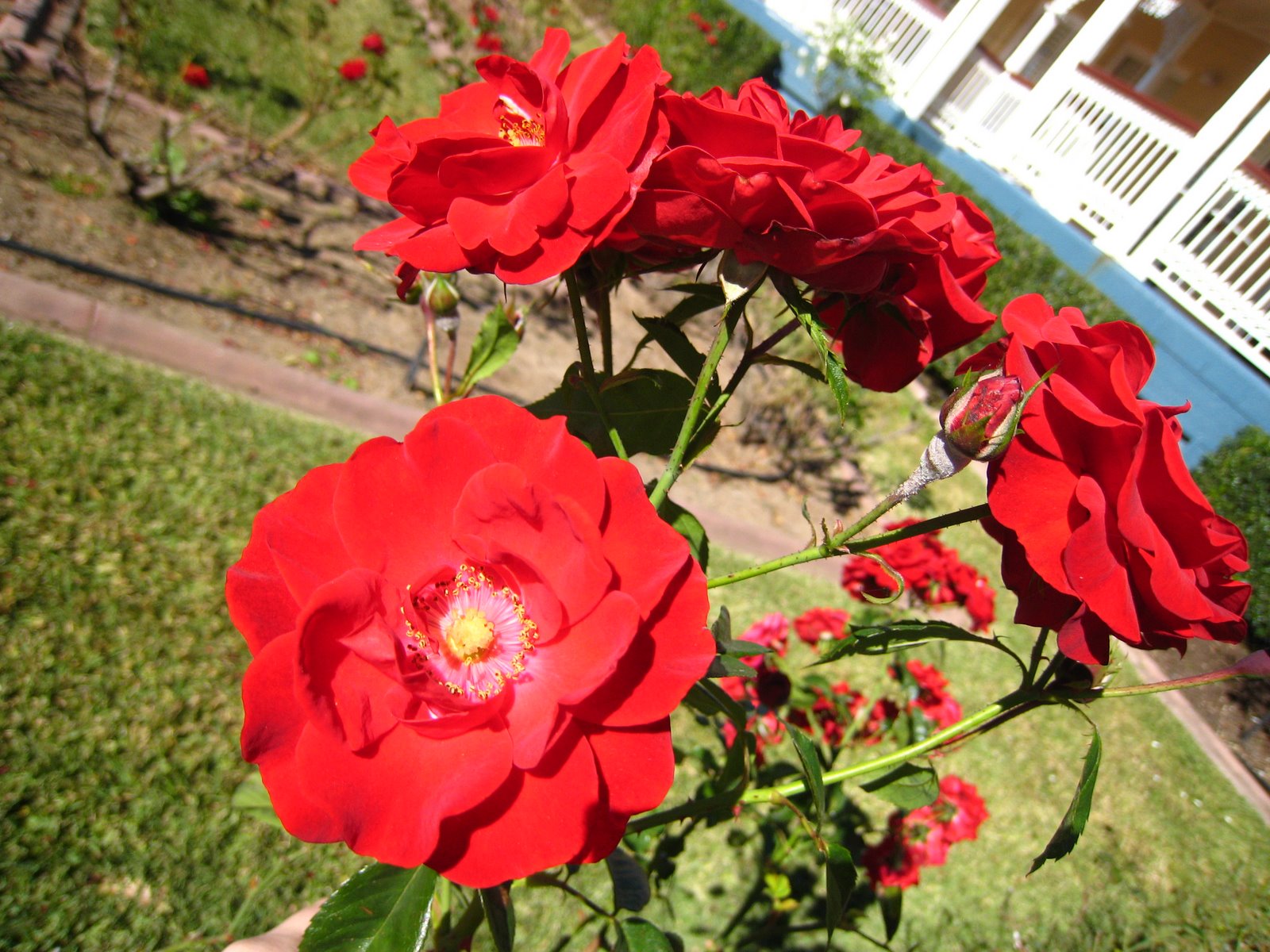 [IMG_6426.JPG]