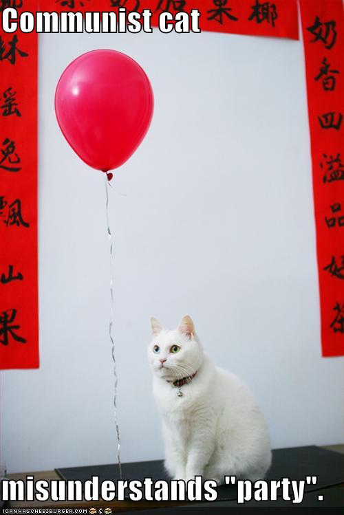 [funny-pictures-communist-cat-party.jpg]