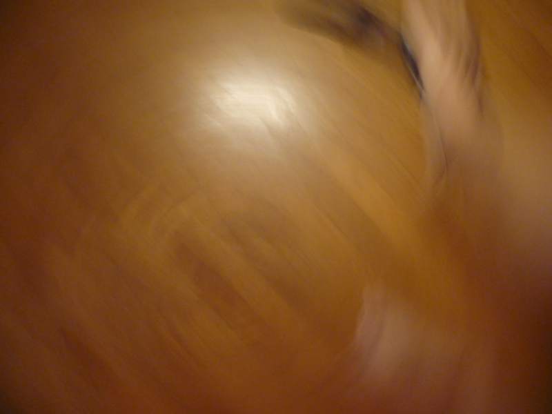 [P1030076.JPG]