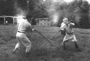 Bujinkan Ninjutsu Training