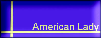 American Lady