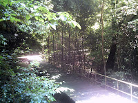 小幡緑地本園へつづく木道