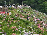 形原温泉あじさいの里