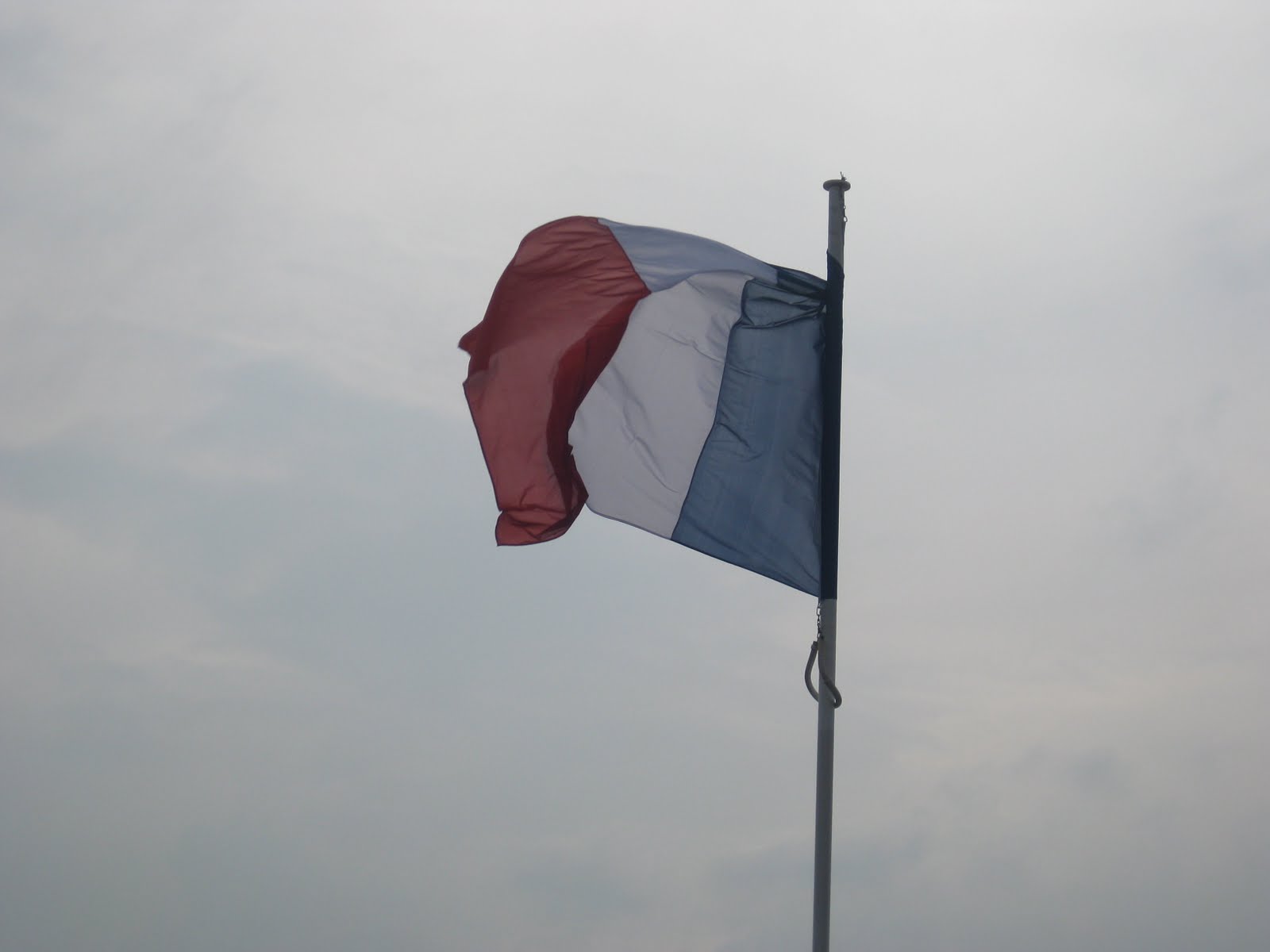 [IMG_0727.JPG]