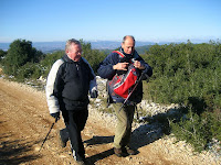 Olesa de Bonesvalls 2010