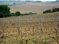 Sant Llorenç d'Hortons 2010