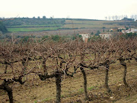 Sant Llorenç d'Hortons 2010