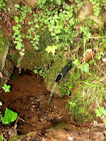 La Font del Rei