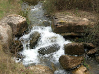 Riera de Caldes