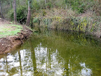 Bassa del Torrent de la Baga del Coll