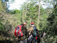 Caminada de Monistrol de Calders 2010