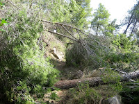 Caminada de Puig-reig 2010