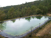 Font del pollancre
