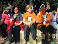 Sant Martí de Centelles 2010