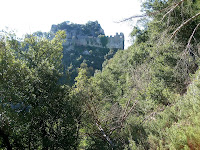 Camí de la Rovira dels Cerdans