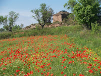 Pla de Bages