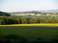 Sant julià de Vilatorta