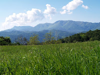 Montseny
