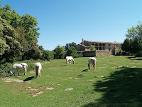 El Masgrau El Masgrau
