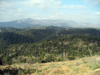 La Serra Llisa
