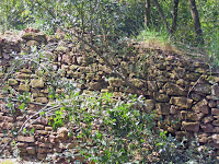 Mas Corró Vell