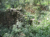 Mas Corró Vell